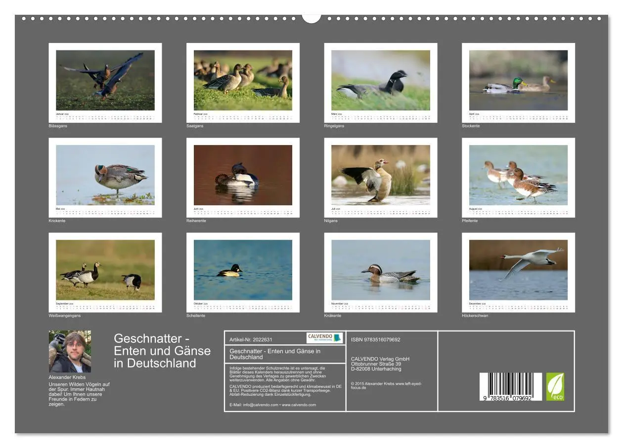 Bild: 9783516079692 | Geschnatter - Enten und Gänse in Deutschland (hochwertiger Premium...