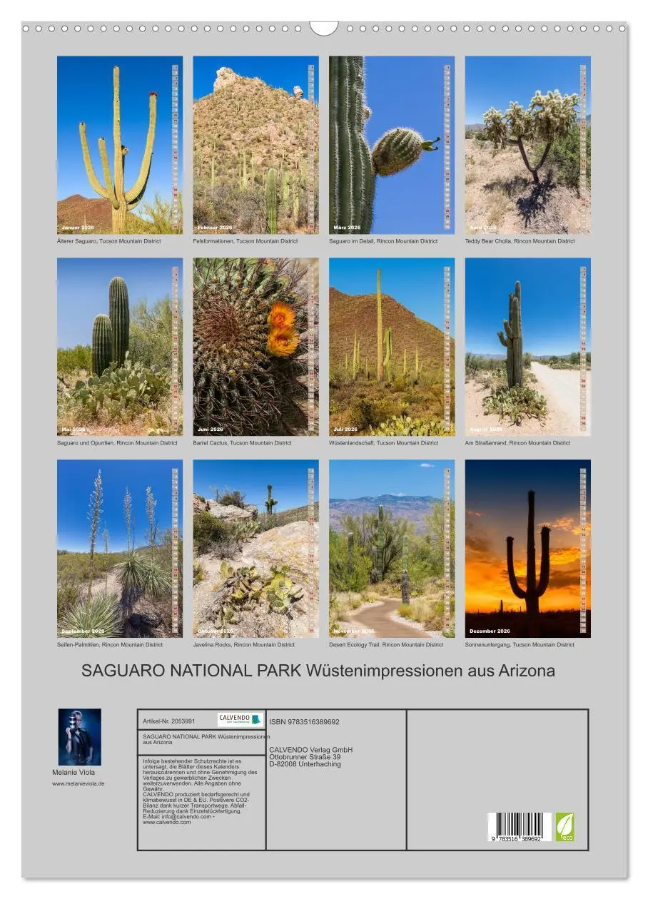 Bild: 9783516389692 | SAGUARO NATIONAL PARK Wüstenimpressionen aus Arizona (Wandkalender...