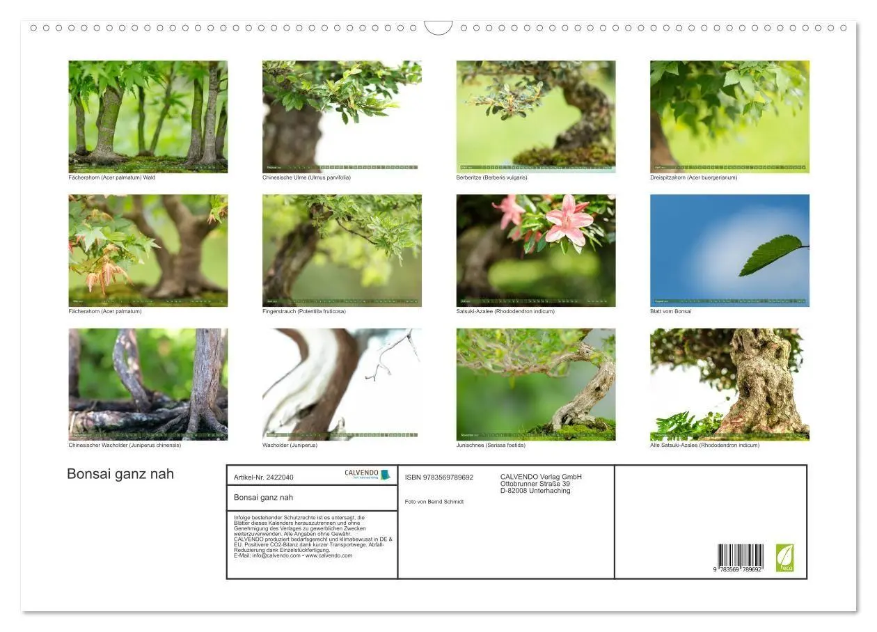 Bild: 9783569789692 | Bonsai ganz nah (Wandkalender 2027 DIN A2 quer), CALVENDO...