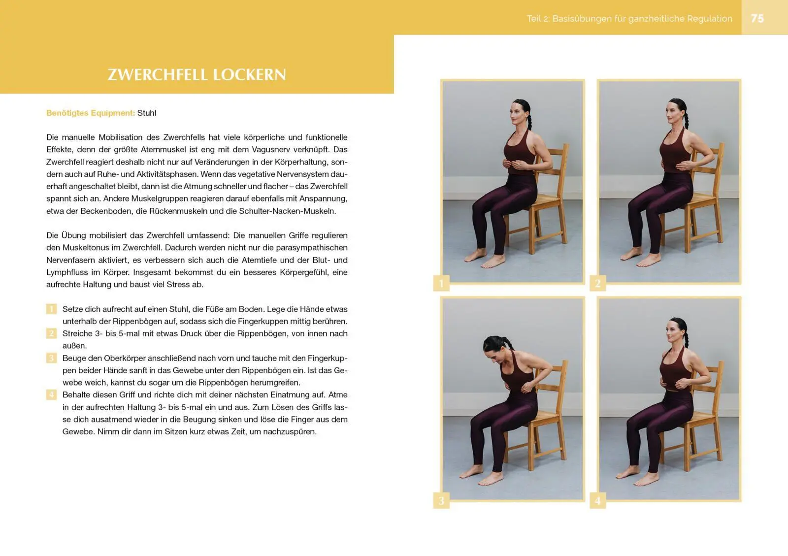 Bild: 9783742309792 | Osteopathie für zu Hause - Nervensystem | Friederike Reumann | Buch