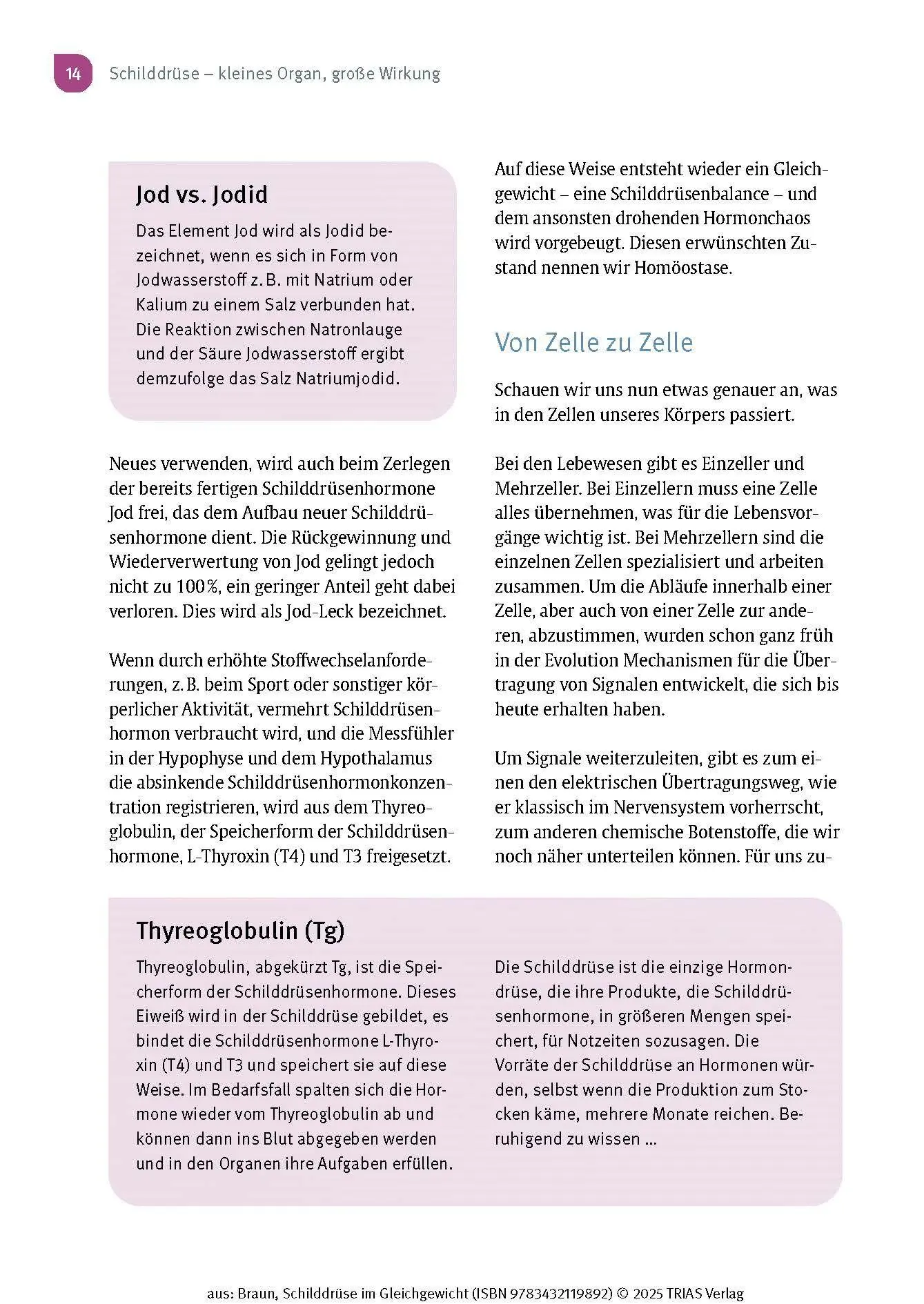 Bild: 9783432119892 | Schilddrüse im Gleichgewicht | Wolfgang Braun | Taschenbuch | 196 S.