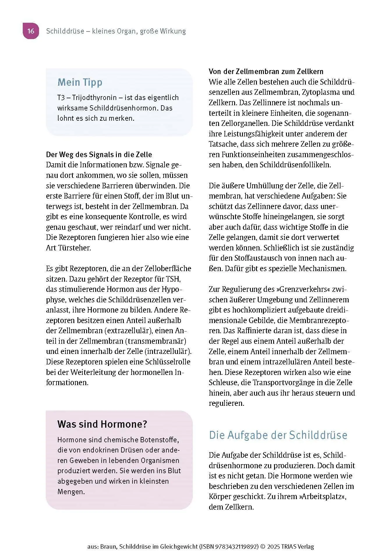 Bild: 9783432119892 | Schilddrüse im Gleichgewicht | Wolfgang Braun | Taschenbuch | 196 S.
