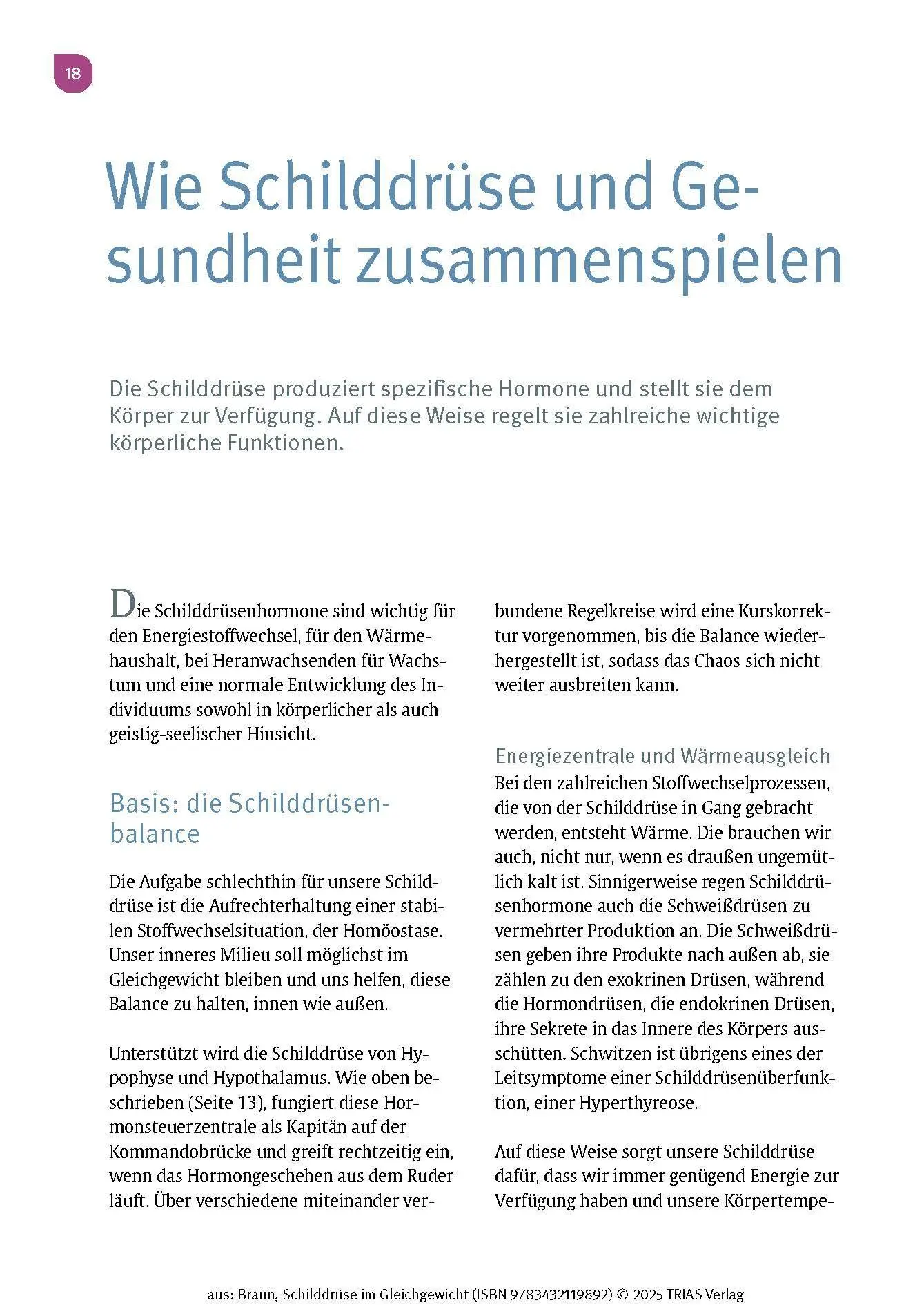 Bild: 9783432119892 | Schilddrüse im Gleichgewicht | Wolfgang Braun | Taschenbuch | 196 S.