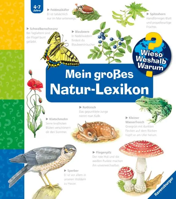 Cover: 9783473329892 | Wieso? Weshalb? Warum?: Mein großes Natur-Lexikon | Sandra Noa | Buch Cover: 9783473329892 | Wieso? Weshalb? Warum?: Mein großes Natur-Lexikon | Sandra Noa | Buch