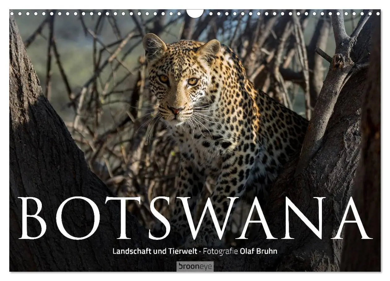 Cover: 9783516059892 | Botswana - Landschaft und Tierwelt (Wandkalender 2026 DIN A3 quer),...