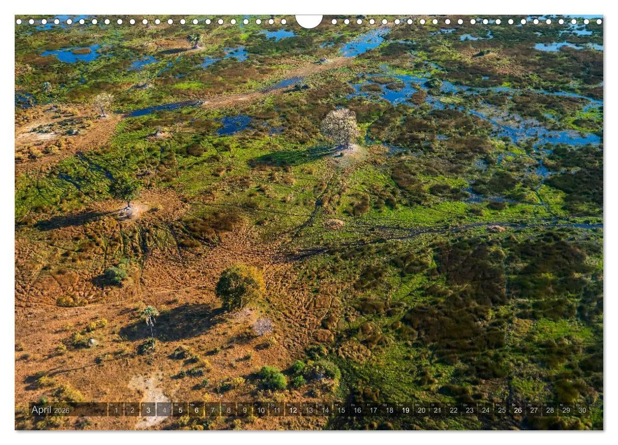 Bild: 9783516059892 | Botswana - Landschaft und Tierwelt (Wandkalender 2026 DIN A3 quer),...
