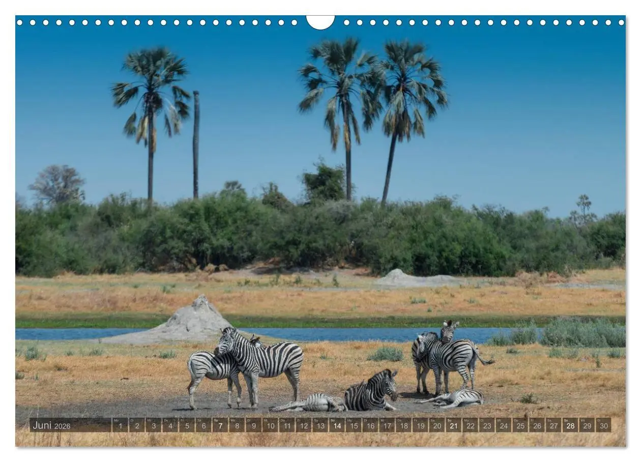 Bild: 9783516059892 | Botswana - Landschaft und Tierwelt (Wandkalender 2026 DIN A3 quer),...