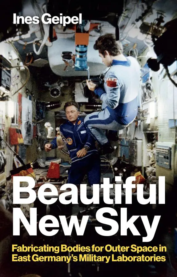 Cover: 9781509559992 | Beautiful New Sky | Ines Geipel | Buch | Einband - fest (Hardcover)