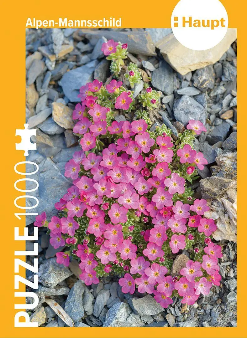 Cover: 4262494720093 | Alpen-Mannsschild - Puzzle. 1000 Teile | Haupt Verlag | Spiel | 2026