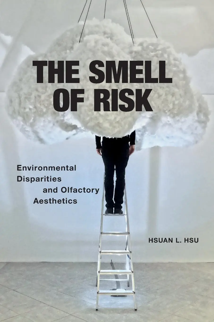 Cover: 9781479810093 | The Smell of Risk | Environmental Disparities and Olfactory Aesthetics