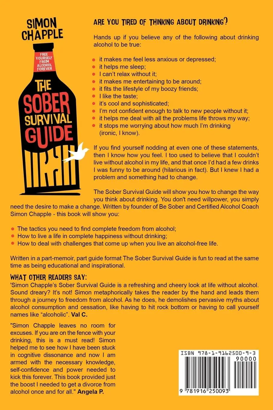 Rückseite: 9781916250093 | The Sober Survival Guide | Simon Chapple | Taschenbuch | Englisch