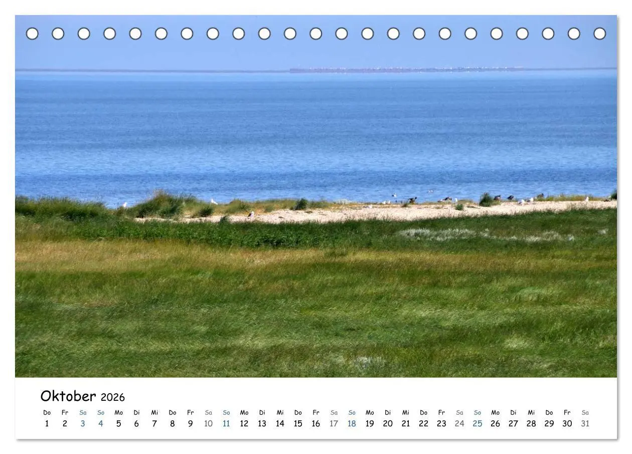 Bild: 9783516160093 | Föhr und Halligwelt 2026 (Tischkalender 2026 DIN A5 quer), CALVENDO...