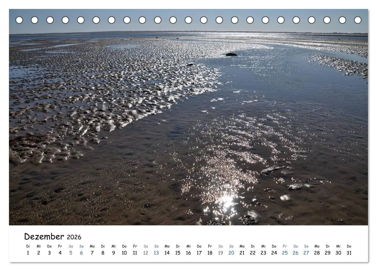 Bild: 9783516160093 | Föhr und Halligwelt 2026 (Tischkalender 2026 DIN A5 quer), CALVENDO...