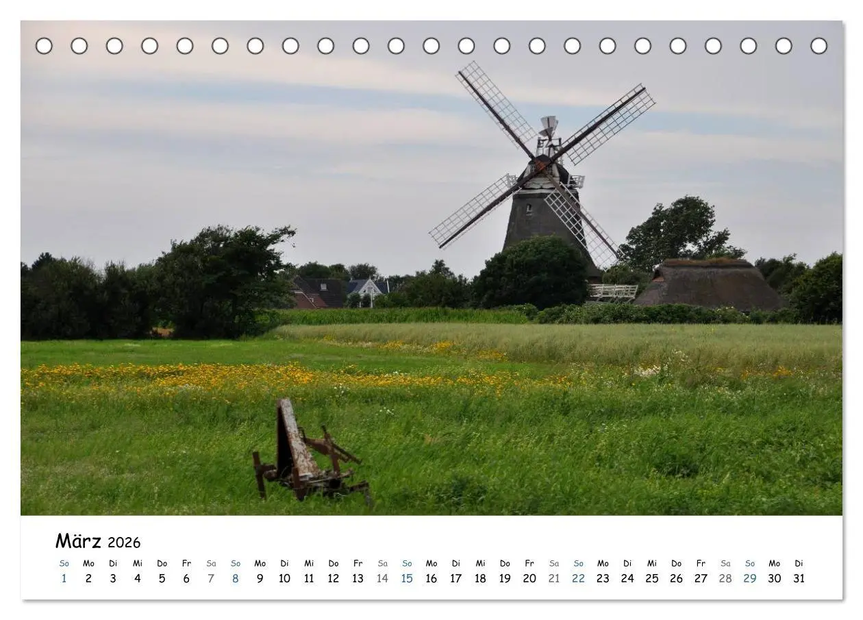 Bild: 9783516160093 | Föhr und Halligwelt 2026 (Tischkalender 2026 DIN A5 quer), CALVENDO...