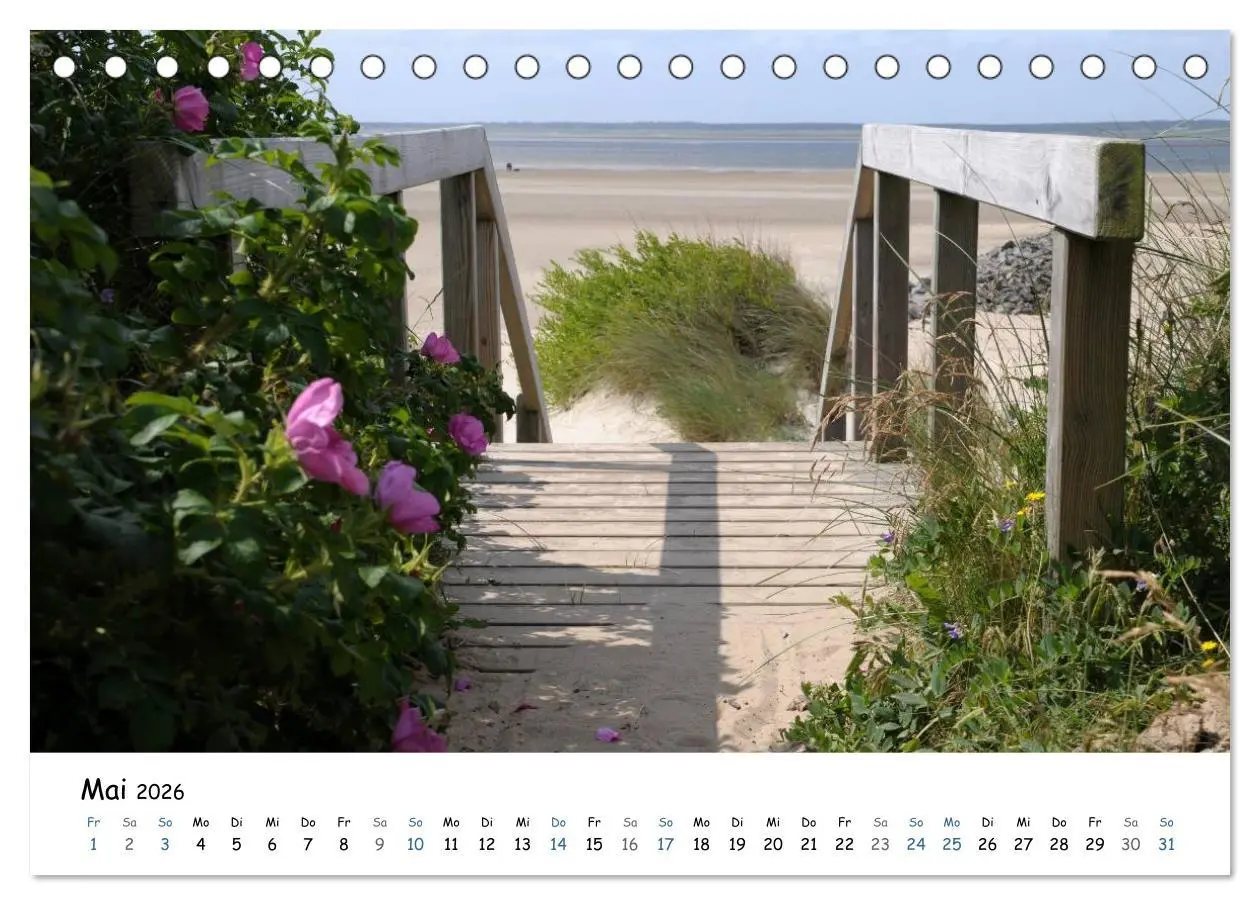 Bild: 9783516160093 | Föhr und Halligwelt 2026 (Tischkalender 2026 DIN A5 quer), CALVENDO...