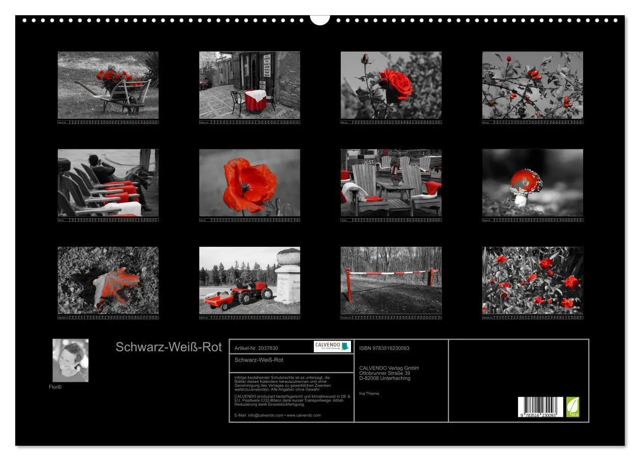 Bild: 9783516230093 | Schwarz-Weiß-Rot (Wandkalender 2026 DIN A2 quer), CALVENDO...