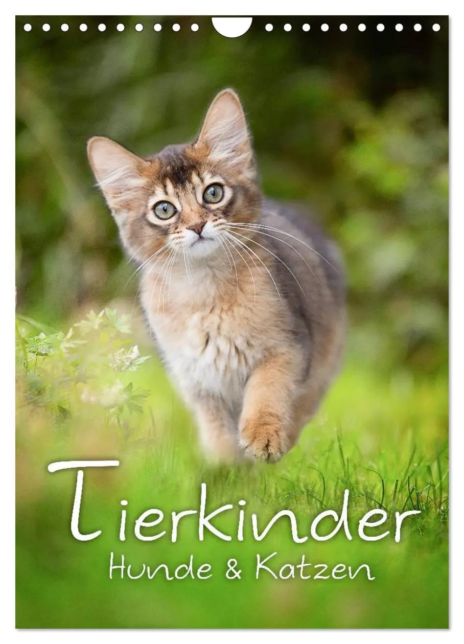 Cover: 9783516470093 | Tierkinder Hunde und Katzen (Wandkalender 2026 DIN A4 hoch),...