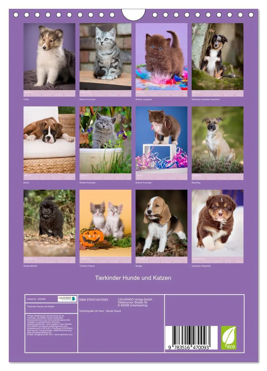 Bild: 9783516470093 | Tierkinder Hunde und Katzen (Wandkalender 2026 DIN A4 hoch),...