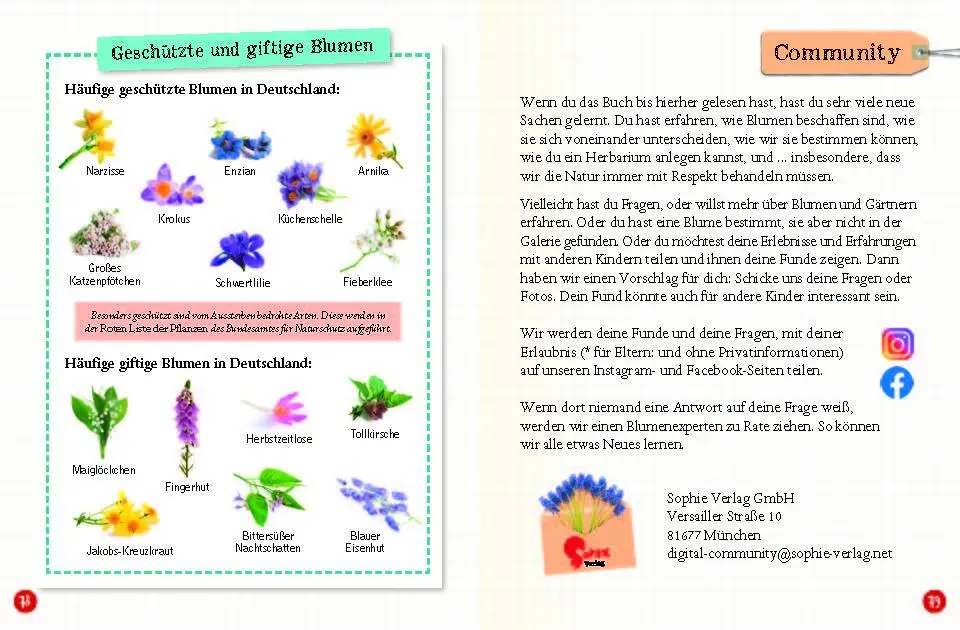 Bild: 9783968080093 | Flora &amp; Leo. Mein erstes Herbarium | Christine Schreier | Taschenbuch