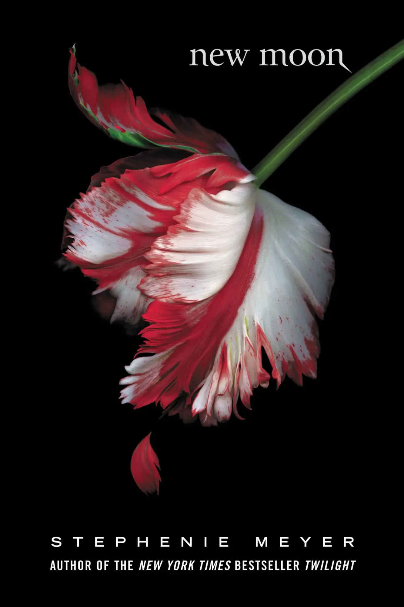 Cover: 9780316160193 | New Moon | Stephenie Meyer | Buch | 565 S. | Englisch | 2006