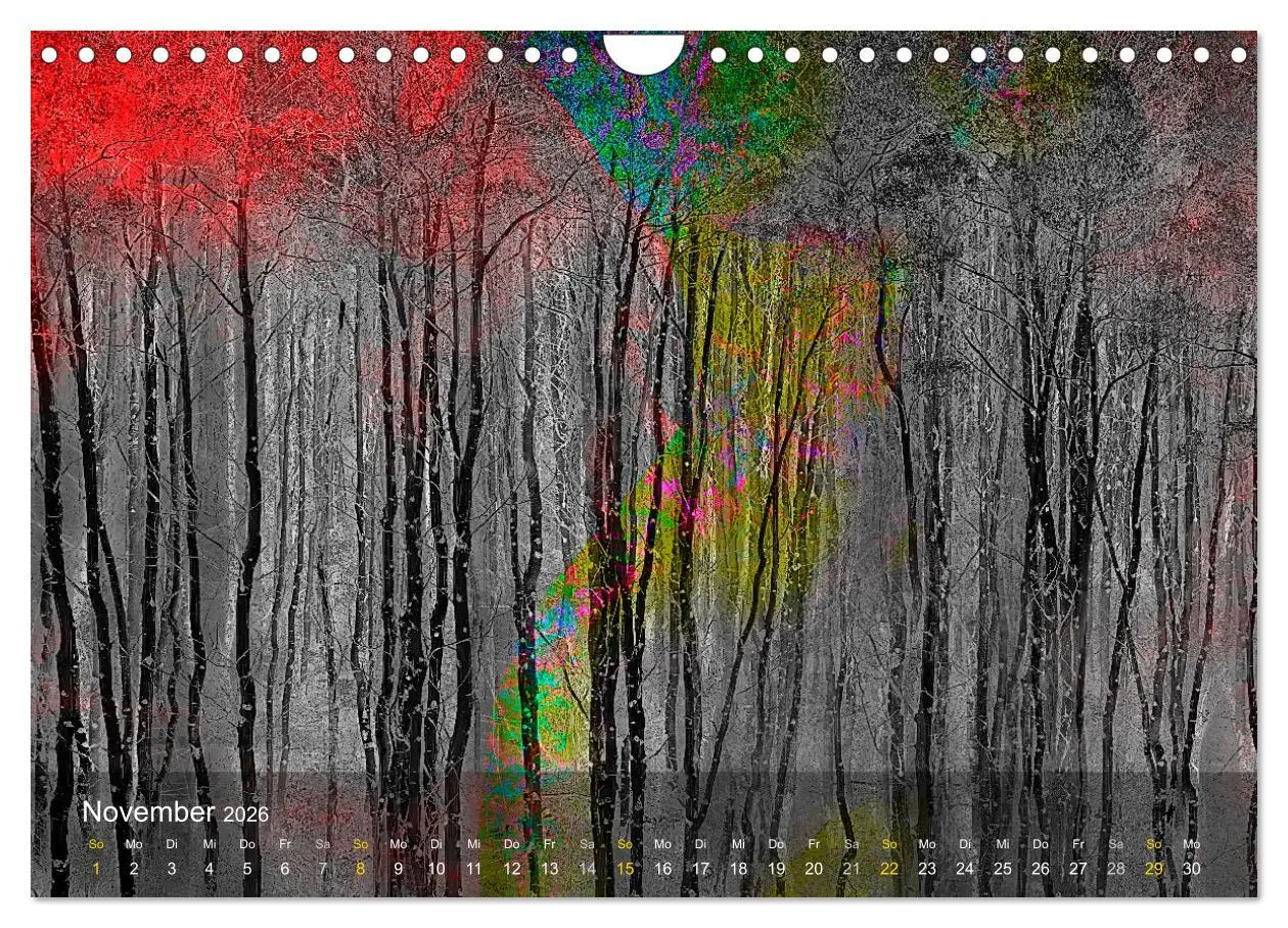 Bild: 9783457370193 | Das Schweigen der Bäume (Wandkalender 2026 DIN A4 quer), CALVENDO...