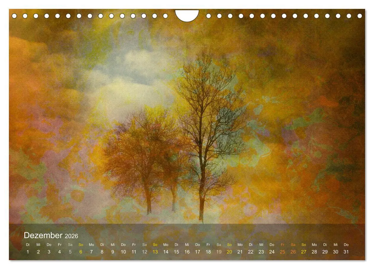 Bild: 9783457370193 | Das Schweigen der Bäume (Wandkalender 2026 DIN A4 quer), CALVENDO...