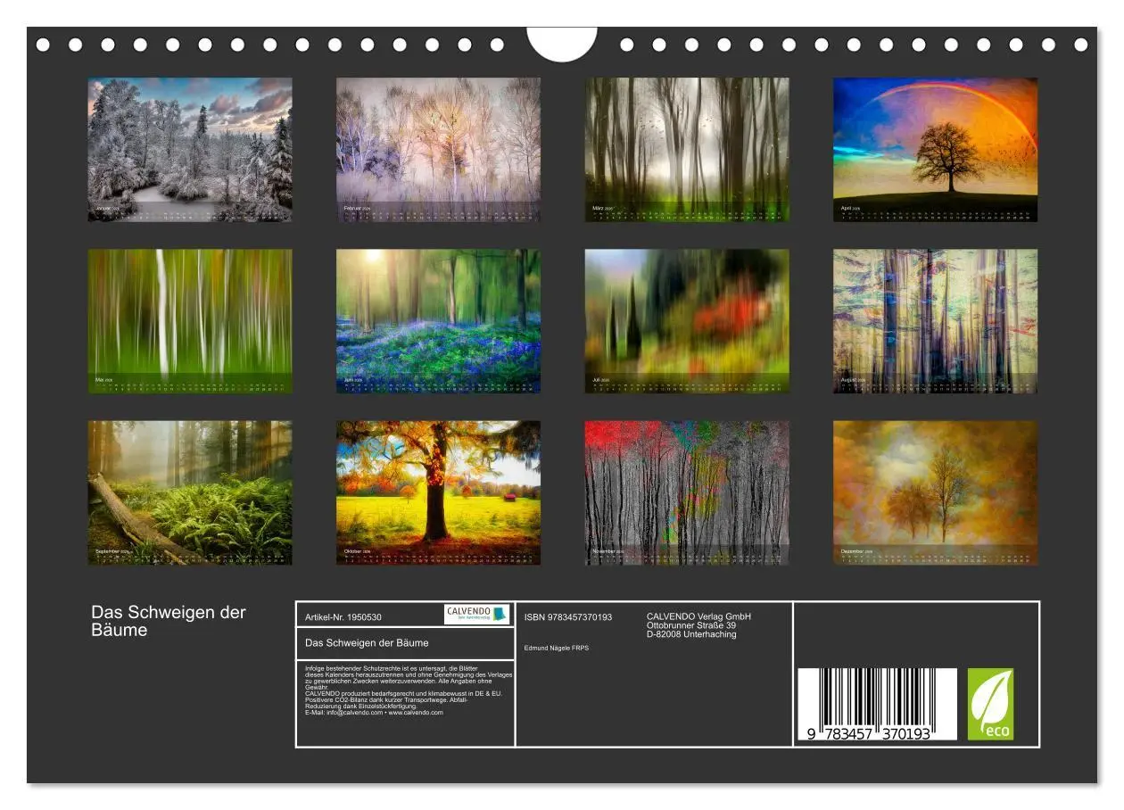 Bild: 9783457370193 | Das Schweigen der Bäume (Wandkalender 2026 DIN A4 quer), CALVENDO...