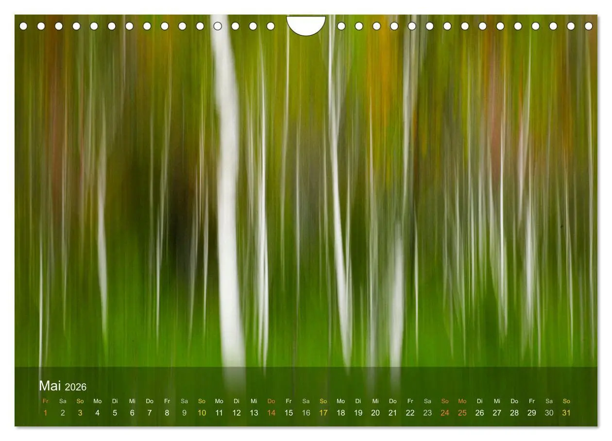 Bild: 9783457370193 | Das Schweigen der Bäume (Wandkalender 2026 DIN A4 quer), CALVENDO...