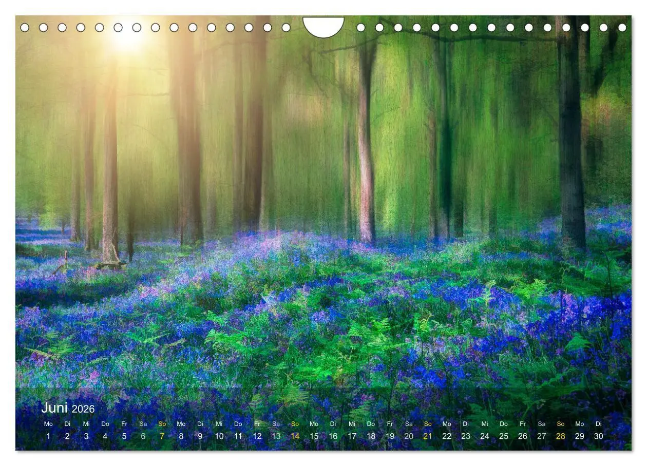 Bild: 9783457370193 | Das Schweigen der Bäume (Wandkalender 2026 DIN A4 quer), CALVENDO...