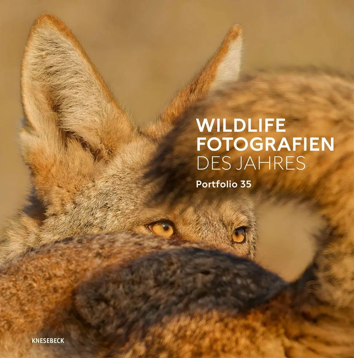Cover: 9783989620193 | Wildlife Fotografien des Jahres - Portfolio 35 | Museum | Buch | 2025