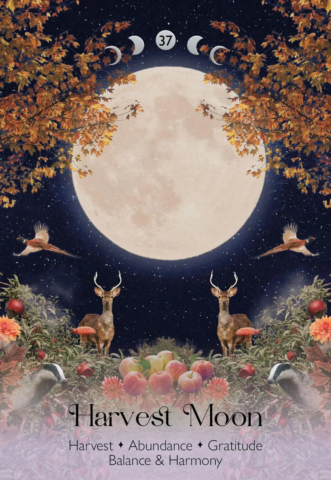 Bild: 4250375110293 | Lunar Magic Oracle - 40 Mooncards with Booklet (English) | Kendall