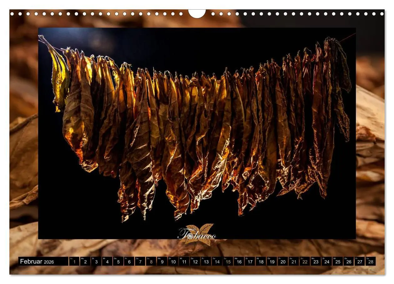Bild: 9783457980293 | Tobacco - Genuss und Flair der Tabakkultur (Wandkalender 2026 DIN...
