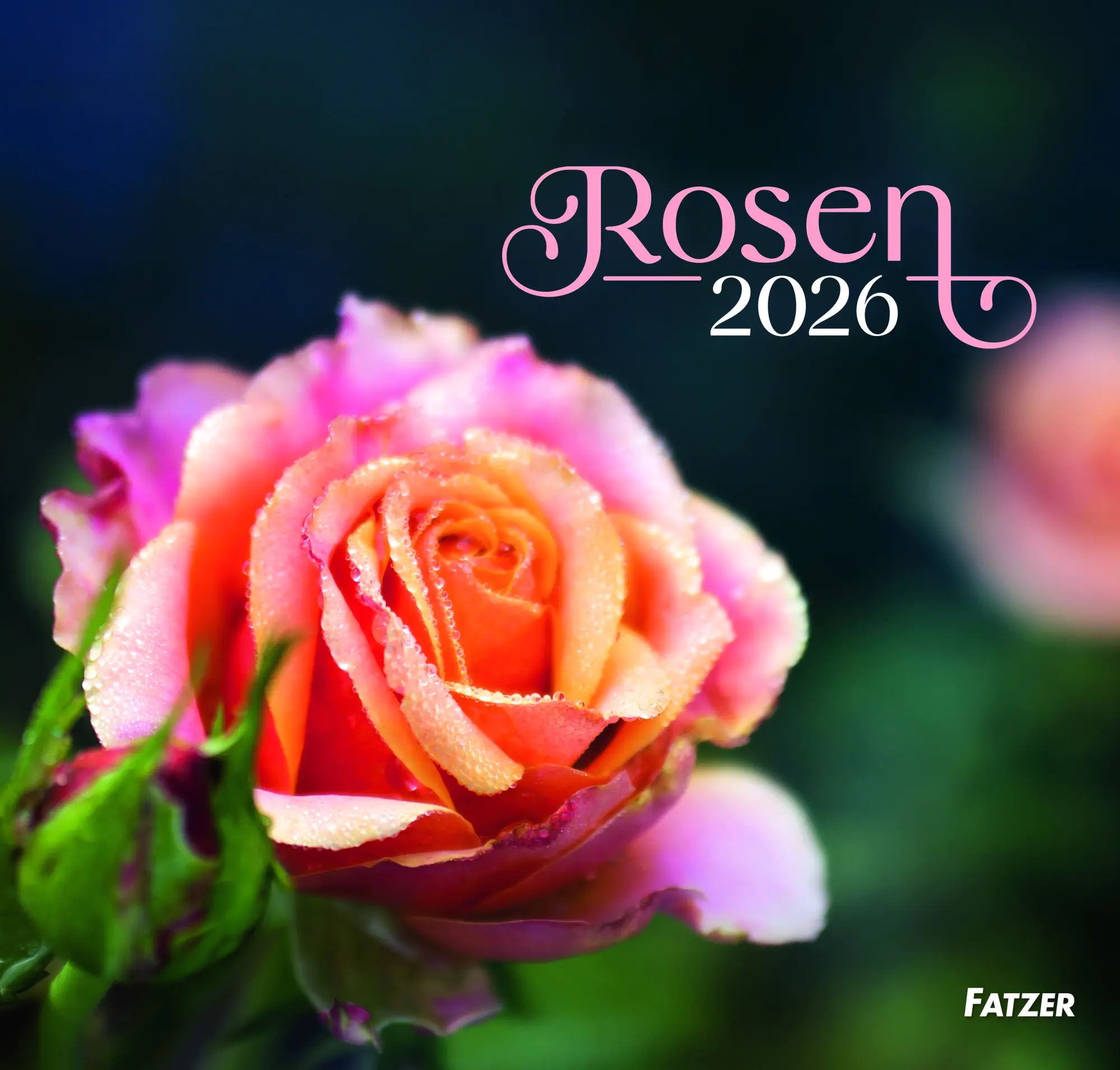 Cover: 9783690220293 | Rosen - Wandkalender 2026 | 13 S., 13 Farbfotos, 13 Illustr. | Deutsch