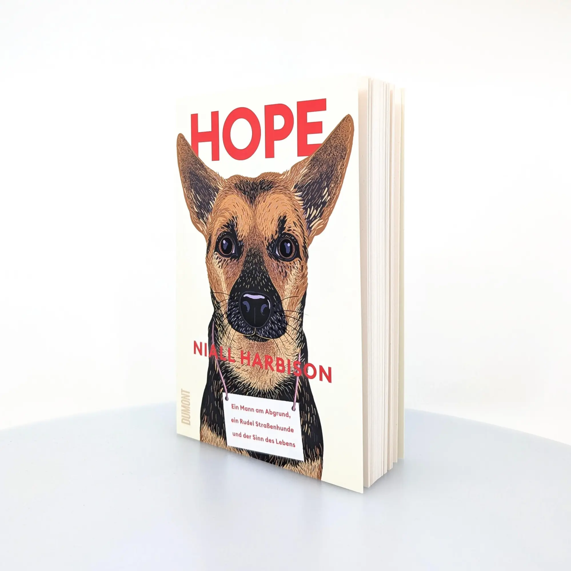 Bild: 9783755800293 | Hope | Niall Harbison | Taschenbuch | 240 S. | Deutsch | 2025