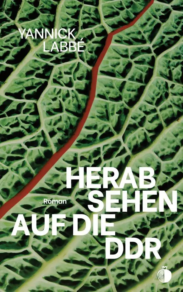 Cover: 9783941780293 | Herabsehen auf die DDR | Yannick Labbé | Taschenbuch | Deutsch | 2025