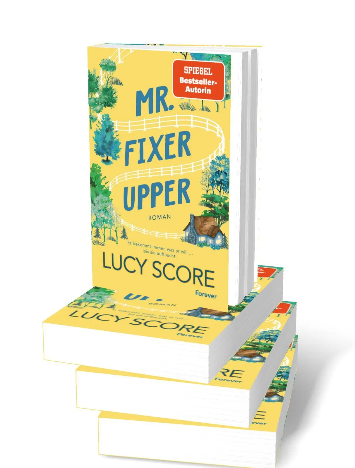 Bild: 9783989780293 | Mr. Fixer Upper | Roman Ganz BookTok spricht über Lucy Score! | Score
