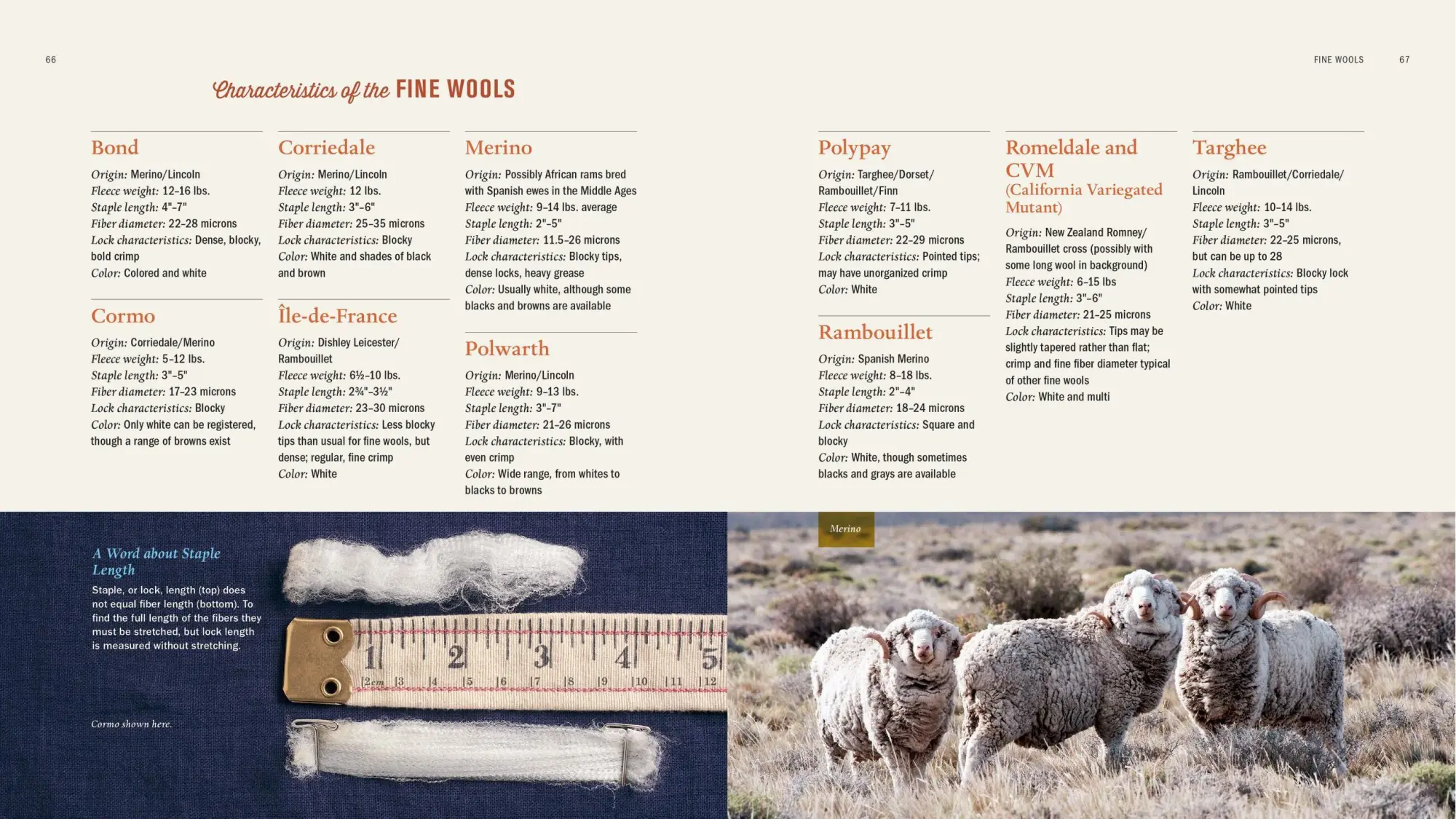 Bild: 9781612120393 | The Spinner's Book of Fleece | Beth Smith | Buch | Gebunden | Englisch