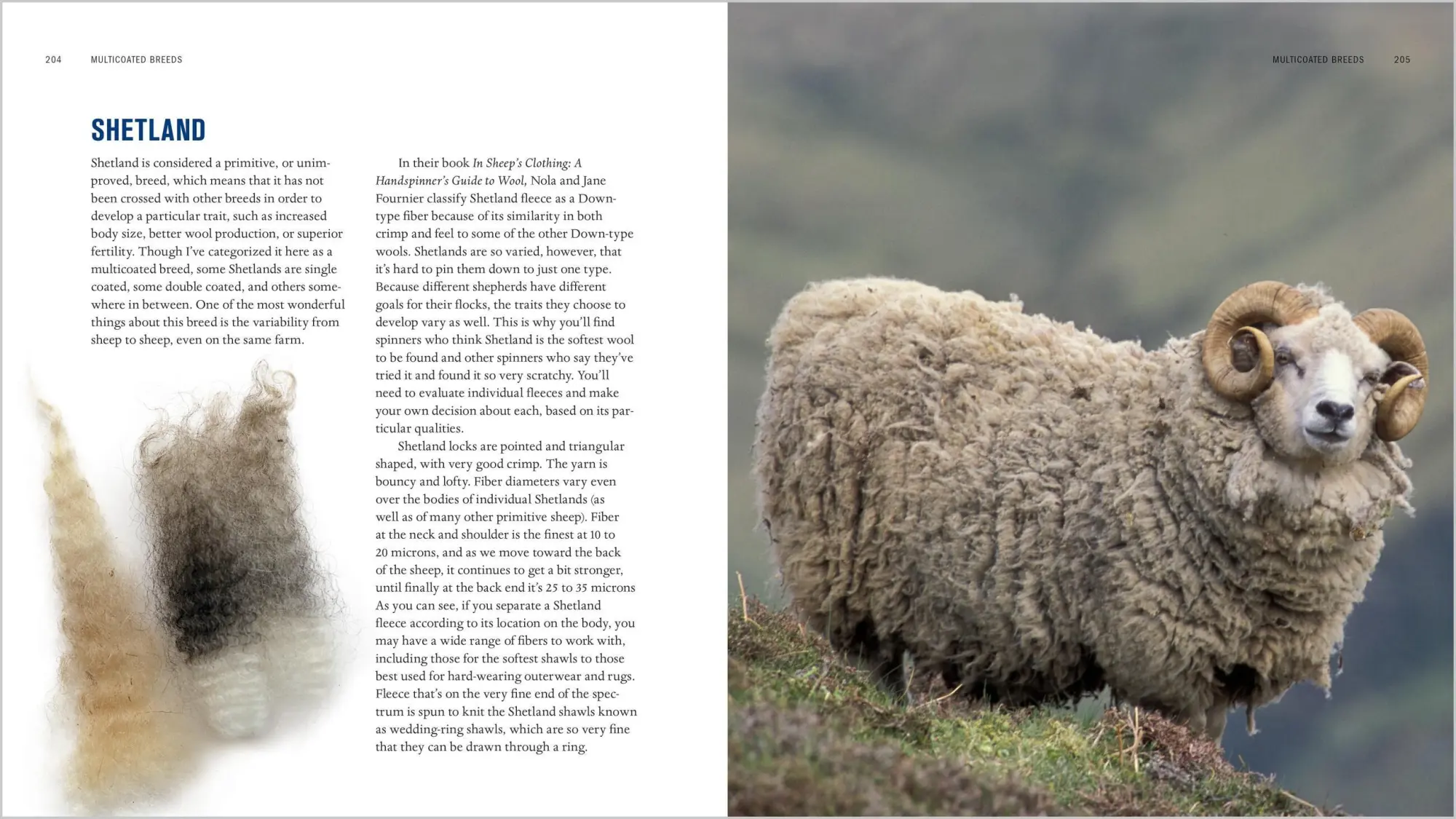 Bild: 9781612120393 | The Spinner's Book of Fleece | Beth Smith | Buch | Gebunden | Englisch