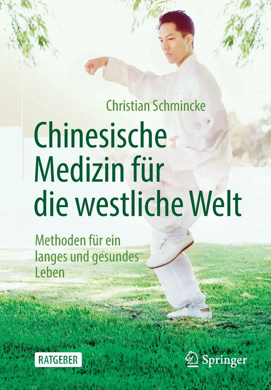 Cover: 9783662590393 | Chinesische Medizin für die westliche Welt | Christian Schmincke | xii