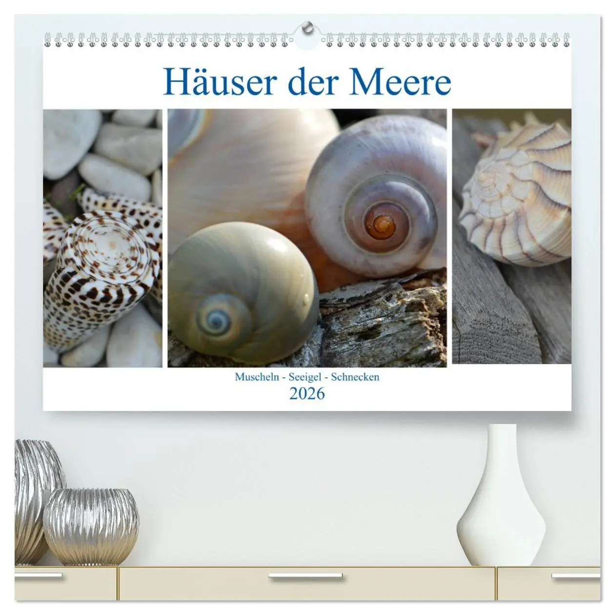 Cover: 9783457720493 | Häuser der Meere: Muscheln - Seeigel - Schnecken (hochwertiger...