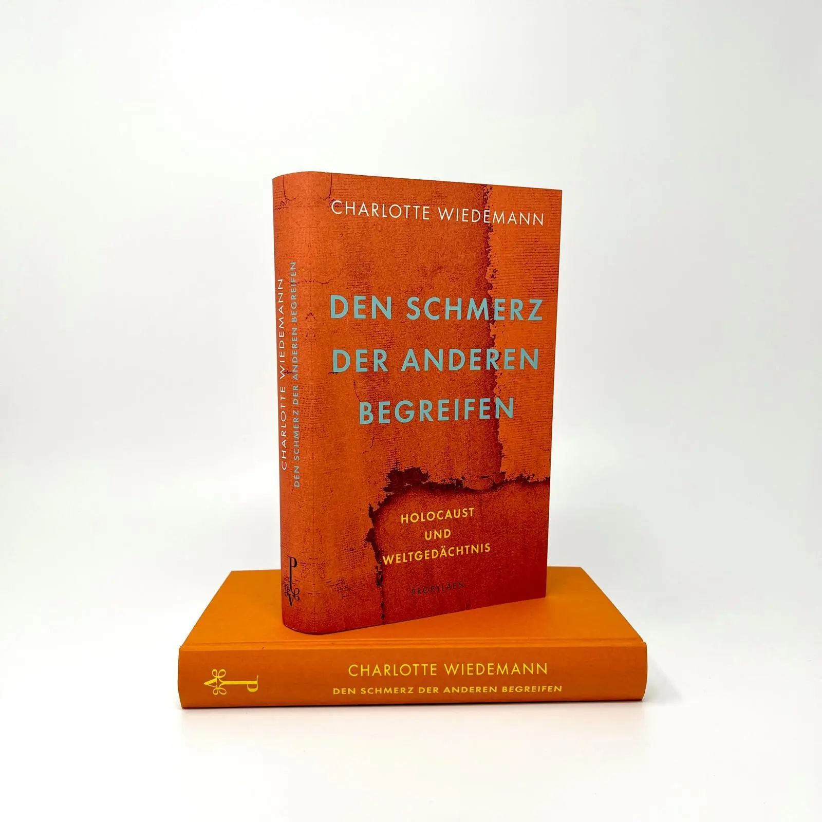 Bild: 9783549100493 | Den Schmerz der Anderen begreifen | Charlotte Wiedemann | Buch | 2022