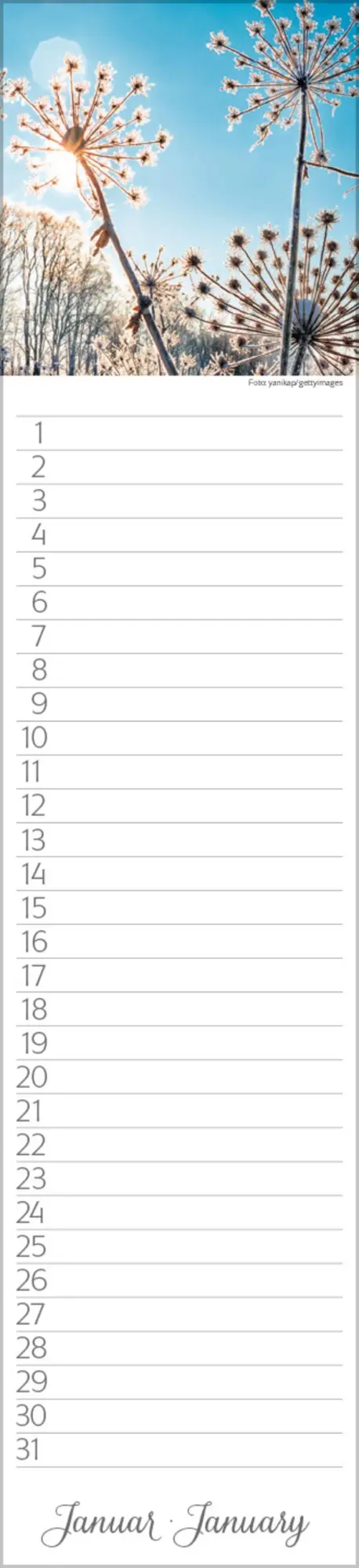 Bild: 9783731880493 | Geburtstags-Langplaner Natur Pur | Verlag Korsch | Kalender | 13 S.