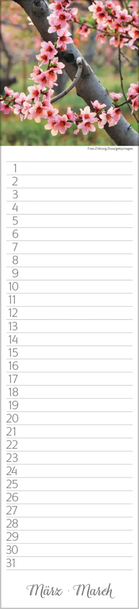 Bild: 9783731880493 | Geburtstags-Langplaner Natur Pur | Verlag Korsch | Kalender | 13 S.