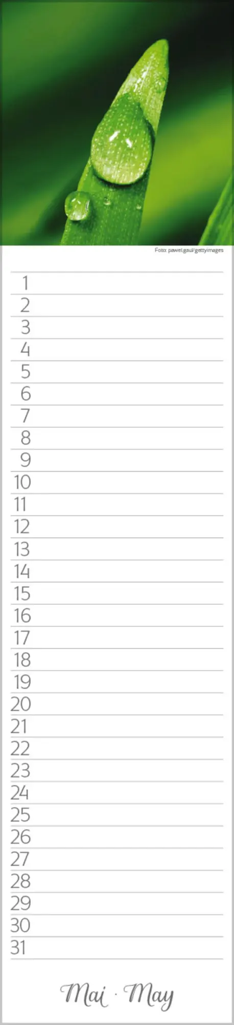 Bild: 9783731880493 | Geburtstags-Langplaner Natur Pur | Verlag Korsch | Kalender | 13 S.