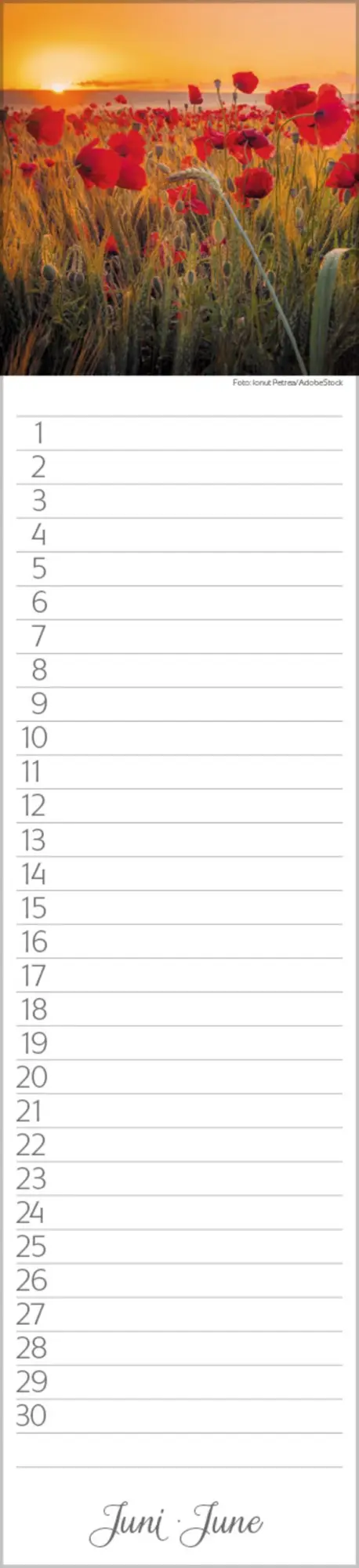 Bild: 9783731880493 | Geburtstags-Langplaner Natur Pur | Verlag Korsch | Kalender | 13 S.