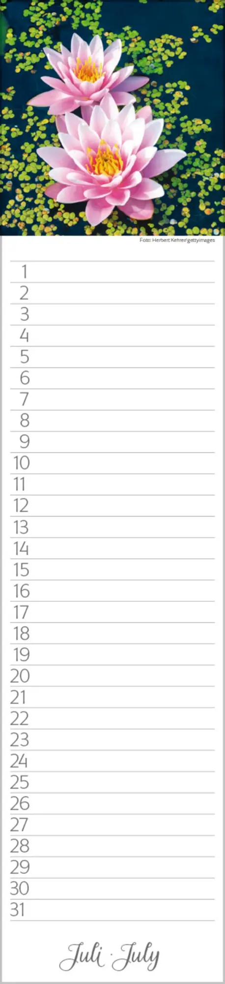 Bild: 9783731880493 | Geburtstags-Langplaner Natur Pur | Verlag Korsch | Kalender | 13 S.