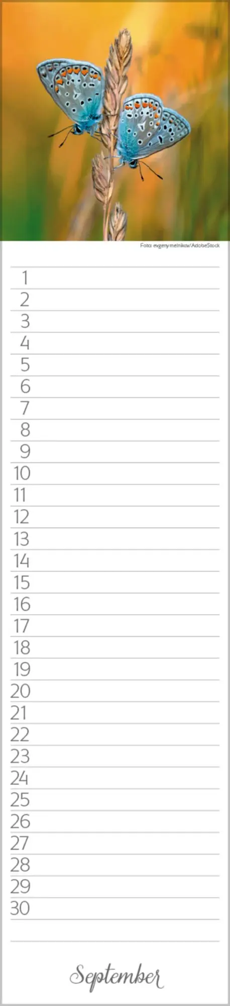 Bild: 9783731880493 | Geburtstags-Langplaner Natur Pur | Verlag Korsch | Kalender | 13 S.