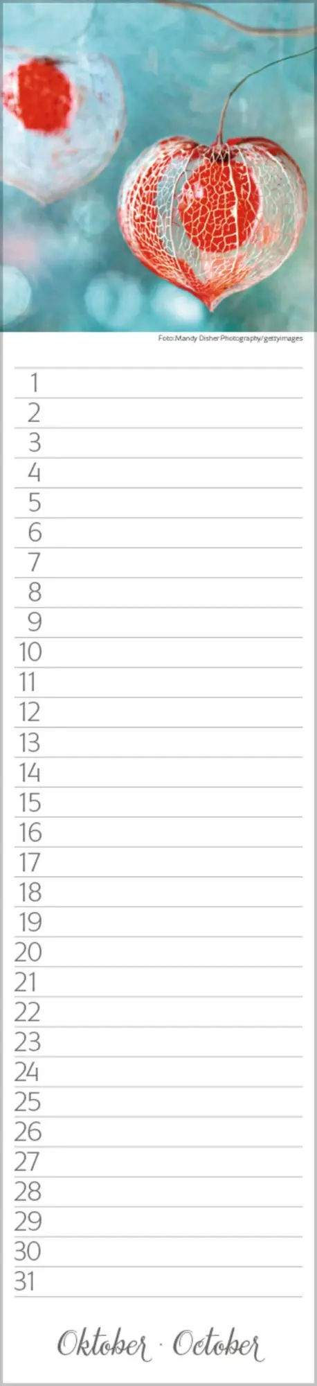 Bild: 9783731880493 | Geburtstags-Langplaner Natur Pur | Verlag Korsch | Kalender | 13 S.
