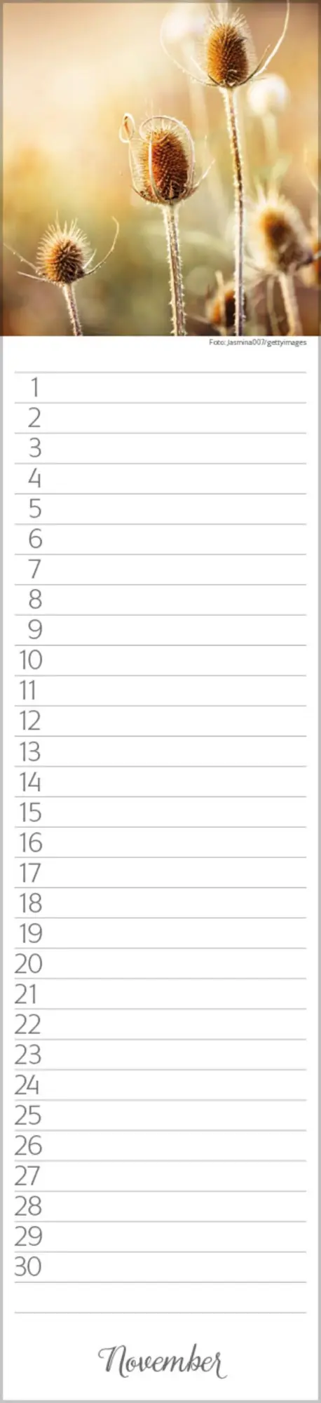 Bild: 9783731880493 | Geburtstags-Langplaner Natur Pur | Verlag Korsch | Kalender | 13 S.