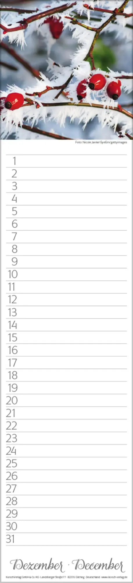 Bild: 9783731880493 | Geburtstags-Langplaner Natur Pur | Verlag Korsch | Kalender | 13 S.